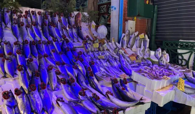 Eskişehir Vatandaşlarından Hamsiye Çok Fazla Talep Var